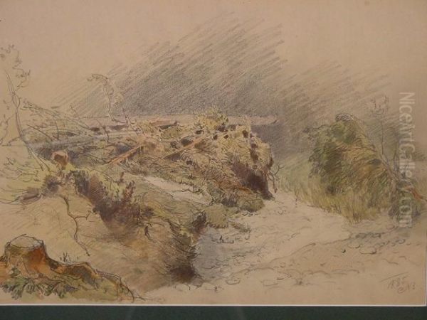 Landschaftsbild - view 1