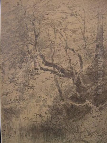 Landschaft - view 1