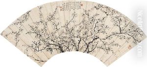 Plum Flower Plum Flower