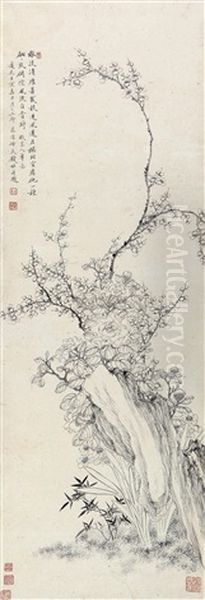 Plum - view 1