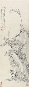 Plum by Qian Du