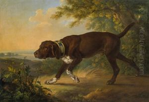 The Hound Of Duke Albert Of Saxony-teschen