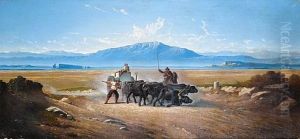 Il Trasporto Del Travertino