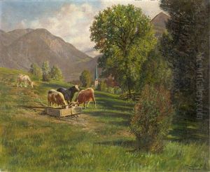 Sommerlandschaft Mit Kuhen Bei Fischhausen Am Schliersee