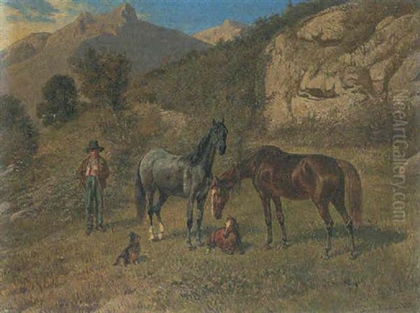 Pferde Auf Der Weide - view 1