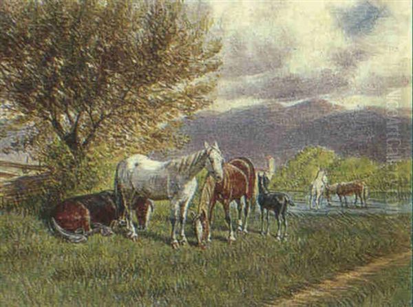 Pferde Auf Der Weide - view 1