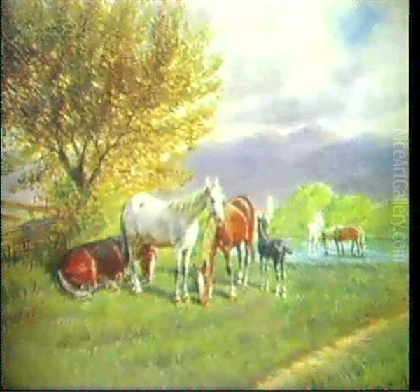 Pferde Auf Der Weide - view 1