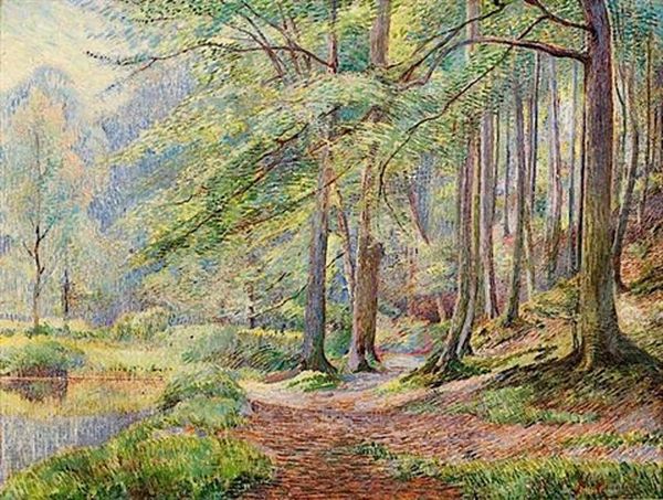 Lisiere De La Foret De Soignes - view 1
