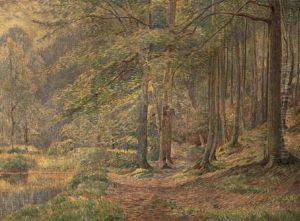 Vue De La Foret A Bruxelles