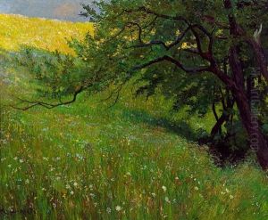 Fruhsommerliche Blumenwiese Fruhsommerliche Blumenwiese
