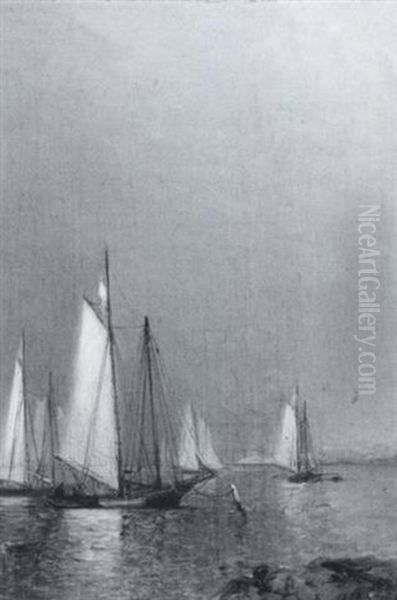 Harbor Inlet With Sailing Boats - view 1