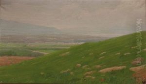 Panorama Auf Palermo by Domenico Quattrociocchi