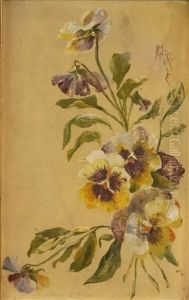 Pansies