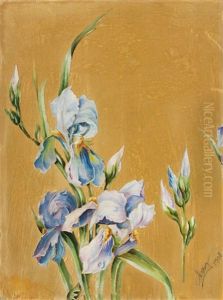 Irises Irises