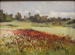 Prairie Aux Coquelicots