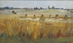 Wheat Fields