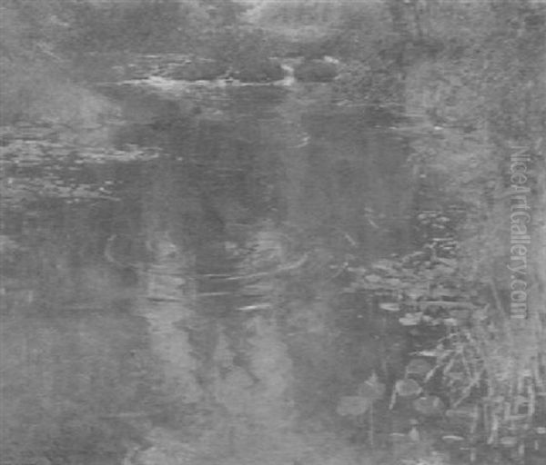 The Quiet Pool - view 1
