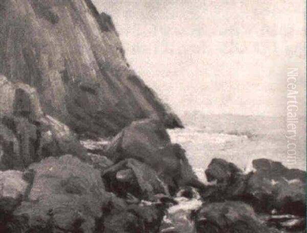 The Rocky Inlet - view 1