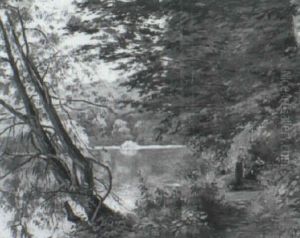 Paysage Anime