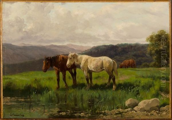 Chevaux Au Paturage - view 1