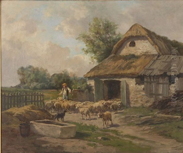 Herding Sheep Out Of A Barn - view 1