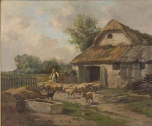Herding Sheep Out Of A Barn