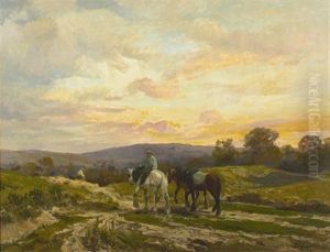 Abendliche Landschaft An Einem Sommertag Abendliche Landschaft An Einem Sommertag