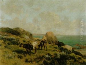 Sommerliche Kustenlandschaft Sommerliche Kustenlandschaft