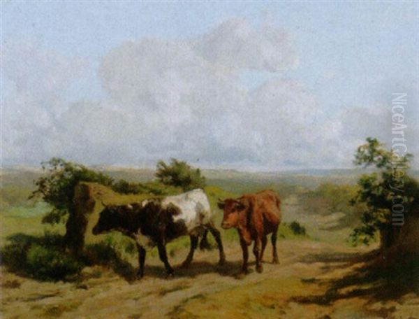 Zwei Kuhe Auf Einem Weg - view 1