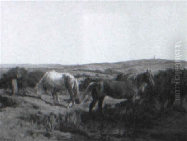 Horses Grazing - view 1