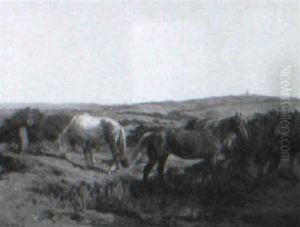 Horses Grazing Horses Grazing
