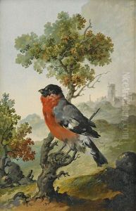 Domherre by Carl Gustaf Quist