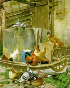 Kippen En Duiven Op Het Erf by Edouard Quitton