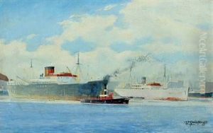 Scenery From A Harbour