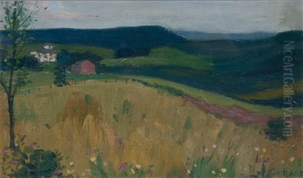 Country Field With Barn - view 1