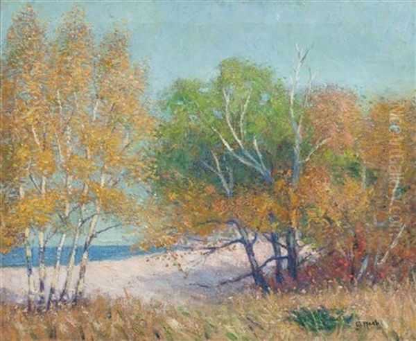 Lake Michigan Shoreline - view 1