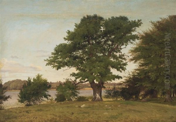 A Danish Summer Landscape From Valsolille Lake - view 1