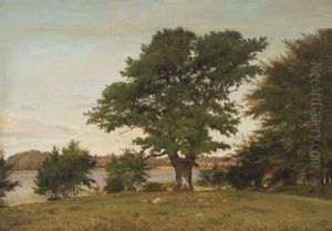 A Danish Summer Landscape From Valsolille Lake by Peter Johann Raadsig