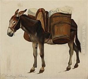 A Donkey With A Saddle