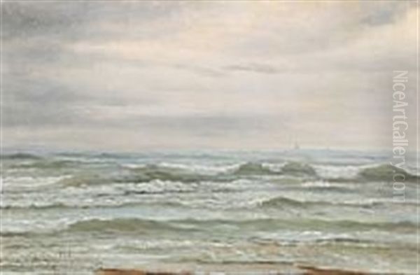 View From Skagen Strand - view 1