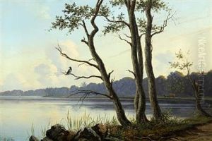 Scenery From The Brink Of A Lake With A Crow In A Tree
