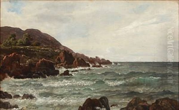 Coastal Scene From Kullen - view 1