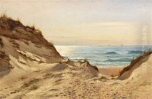 Udsigt Gennem Klitterne Pa Skagen Strand