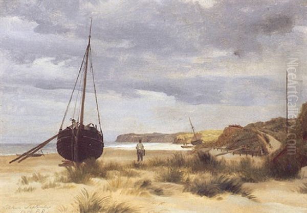 Parti Fra Lokken Strand - view 1