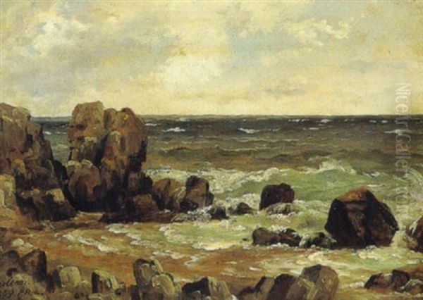 Fra Kullen - view 1