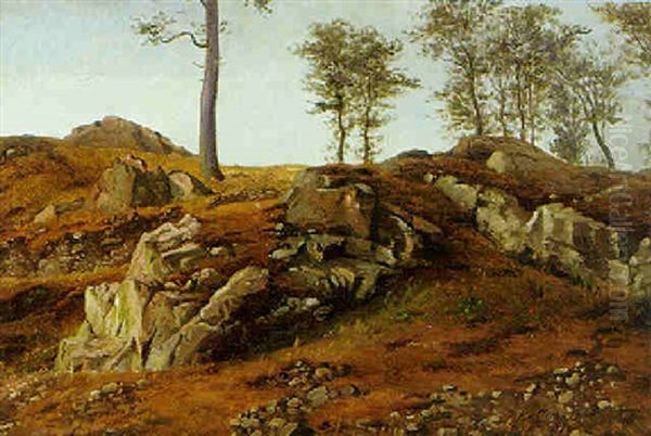 Klippelandskab, Kullen - view 1