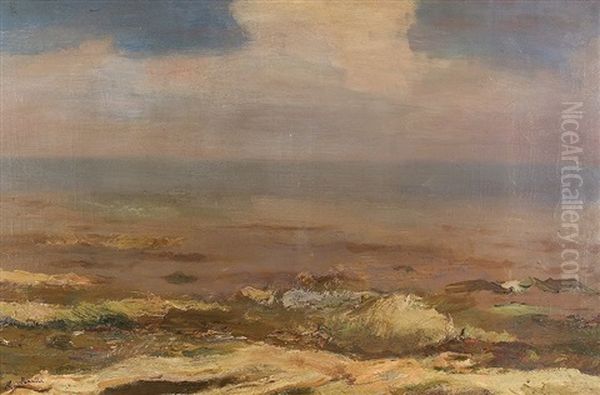 Kustenlandschaft - view 1