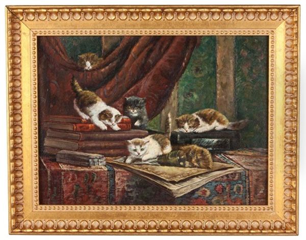 Cats - view 1