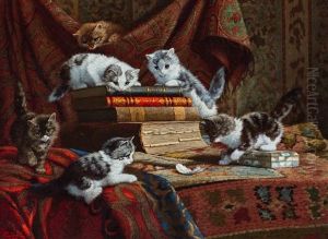 Kittens Playing With A Mystery