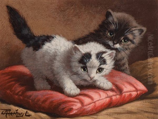 Playing Cats - view 1